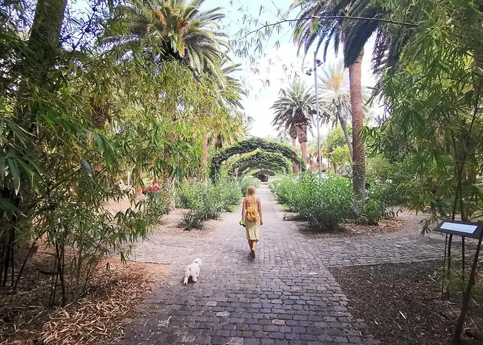 아파트 Home2book Sea Front Teresitas 4 San Andrés